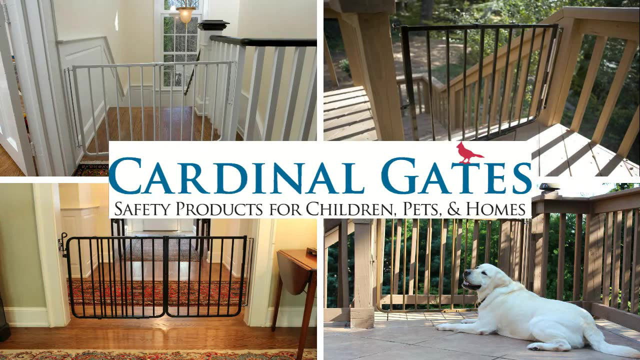 Cardinal Gates Stairway Special Outdoor Gate & Reviews Wayfair